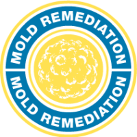 mold_remediation_icon